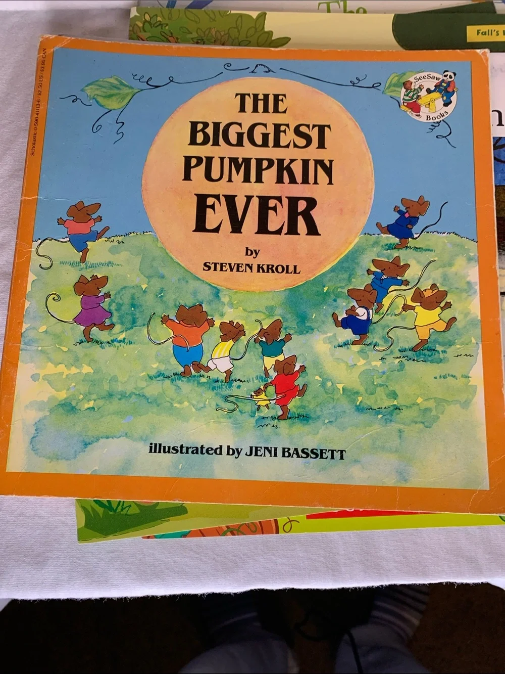 Scholastic Childrens book Bundle